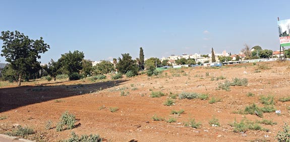 קרקע פתח תקווה / צלם: תמר מצפי